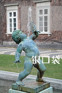 银口袋借款逾期 银口袋借款逾期