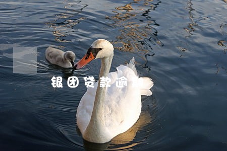 银团贷款逾期 银团贷款逾期