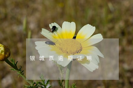 银城票逾期证明 银城票逾期证明