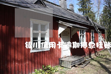 银川信用卡逾期停息挂账申请条件 银川信用卡逾期停息挂账申请条件