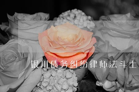 银川债务纠纷律师法斗士 银川债务纠纷律师法斗士