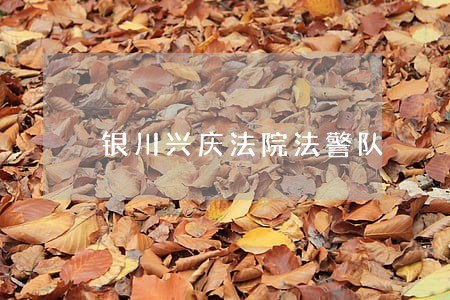 银川兴庆法院法警队 银川兴庆法院法警队