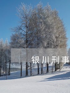 银川刑事案法律咨询 银川刑事案法律咨询