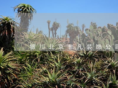 银川北京非凡装饰公司诉讼 银川北京非凡装饰公司诉讼