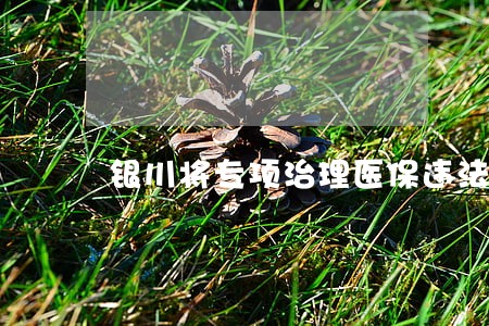 银川将专项治理医保违法违规行为