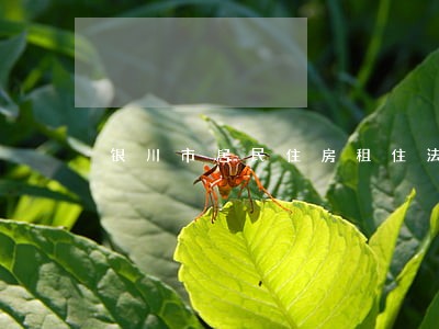 银川市居民住房租住法规 银川市居民住房租住法规