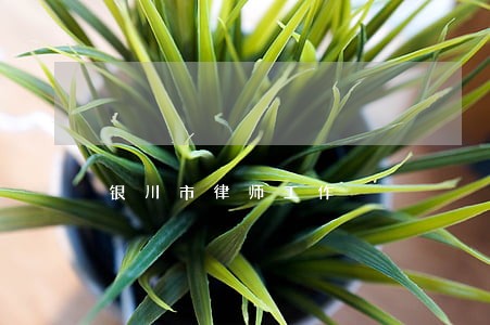 银川市律师工作 银川市律师工作