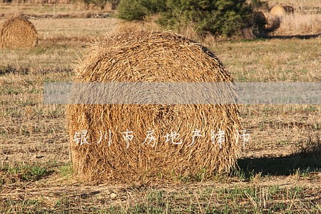 银川市房地产律师 银川市房地产律师