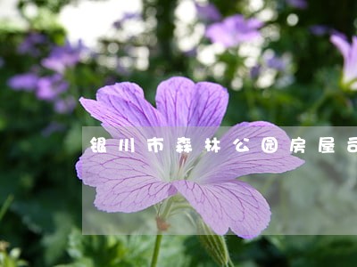 银川市森林公园房屋司法拍卖 银川市森林公园房屋司法拍卖