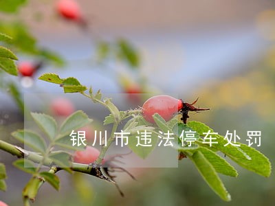银川市违法停车处罚 银川市违法停车处罚