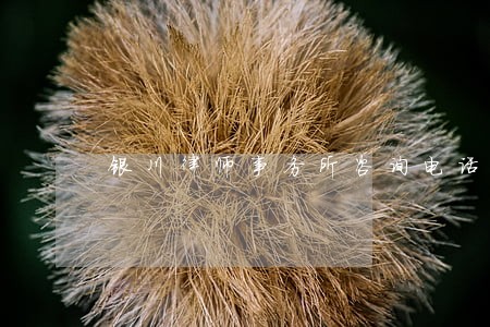 银川律师事务所咨询电话