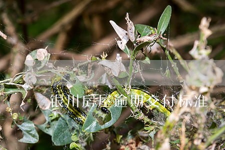 银川房屋逾期交付标准