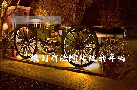 银川有法院处理的车吗 银川有法院处理的车吗