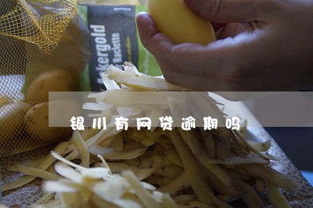 银川有网贷逾期吗 银川有网贷逾期吗