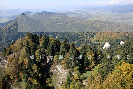 银川杜衡法律咨询有限公司 银川杜衡法律咨询有限公司