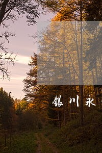 银川永宁县人民法院法官名单