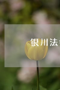 银川法律咨询有限公司 银川法律咨询有限公司