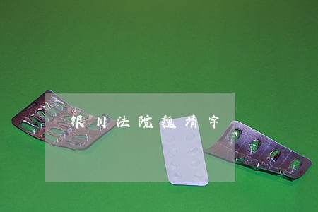银川法院魏靖宇