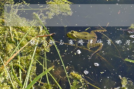 银川知名离婚律师有哪些