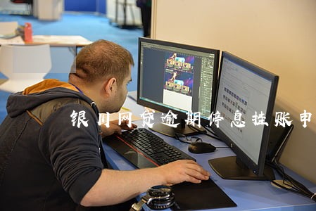 银川网贷逾期停息挂账申请条件 银川网贷逾期停息挂账申请条件