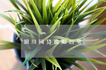 银川网贷逾期后果 银川网贷逾期后果