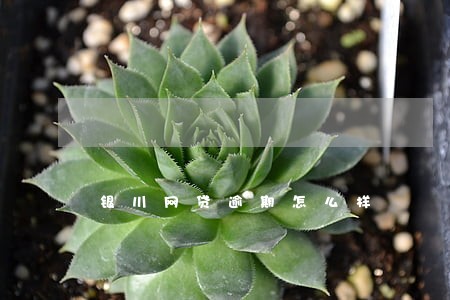 银川网贷逾期怎么样