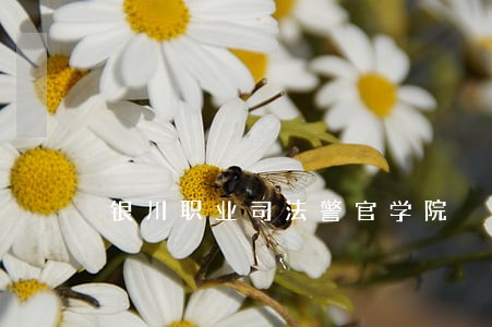 银川职业司法警官学院 银川职业司法警官学院