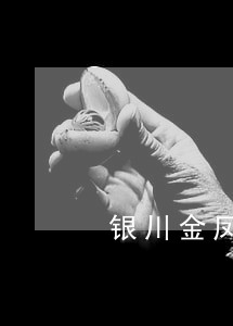 银川金凤法院立案查询 银川金凤法院立案查询