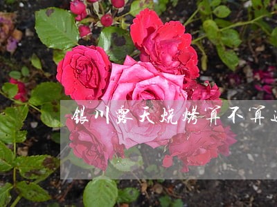 银川露天烧烤算不算违法 银川露天烧烤算不算违法