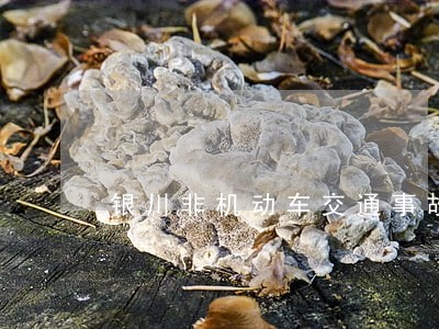 银川非机动车交通事故该怎么诉讼 银川非机动车交通事故该怎么诉讼