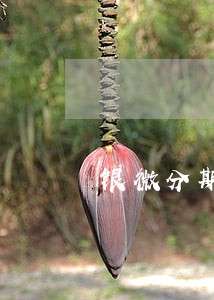银微分期发短信说逾期 银微分期发短信说逾期