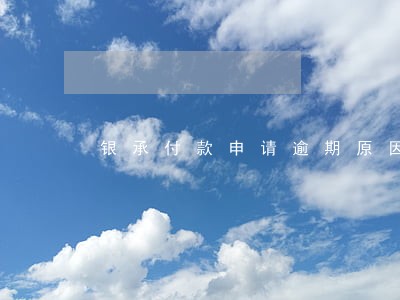 银承付款申请逾期原因说明 银承付款申请逾期原因说明