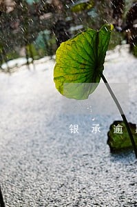 银承逾期托收证明 银承逾期托收证明