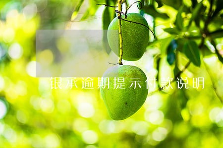 银承逾期提示付款说明