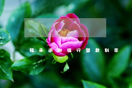 银承逾期银行垫款利率 银承逾期银行垫款利率