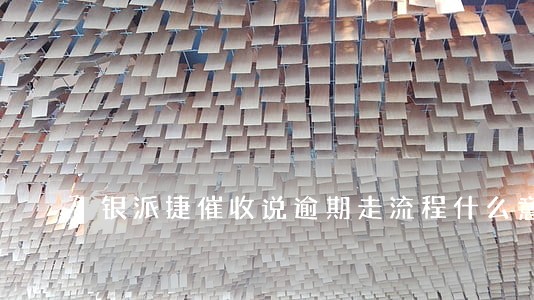 银派捷催收说逾期走流程什么意思 银派捷催收说逾期走流程什么意思