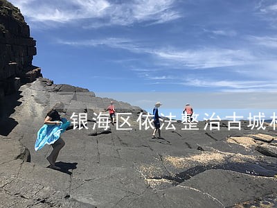 银海区依法整治古城村违法占海 银海区依法整治古城村违法占海