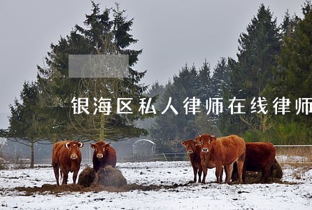 银海区私人律师在线律师