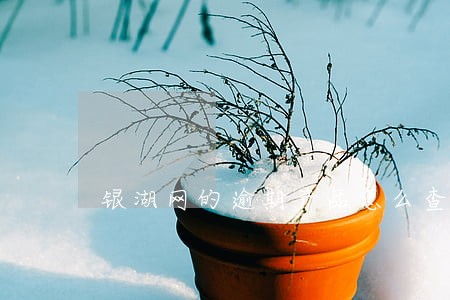 银湖网的逾期产品怎么查看 银湖网的逾期产品怎么查看