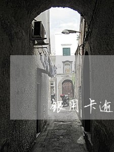 银用卡逾期半年以上怎么还款 银用卡逾期半年以上怎么还款