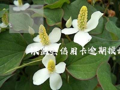 银监会信用卡逾期投诉 银监会信用卡逾期投诉