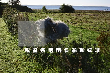 银监会信用卡逾期标准