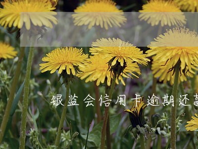 银监会信用卡逾期还款 银监会信用卡逾期还款