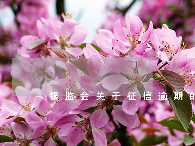 银监会关于征信逾期的规定 银监会关于征信逾期的规定