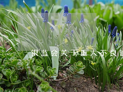 银监会关于重大不良逾期记录 银监会关于重大不良逾期记录