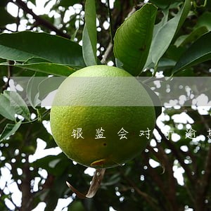 银监会对于逾期利息 银监会对于逾期利息