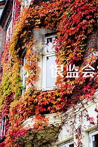银监会对疫情期间逾期 银监会对疫情期间逾期