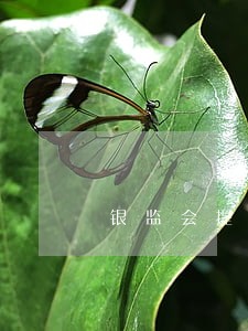 银监会提议信用卡逾期不上征信 银监会提议信用卡逾期不上征信