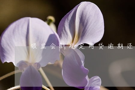 银监会新规定网贷逾期还款 银监会新规定网贷逾期还款