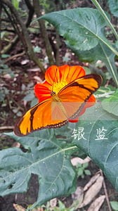 银监会有关信用卡逾期第70条
